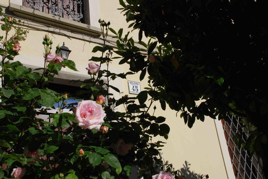 Beverara B&B Bolonya Dış mekan fotoğraf